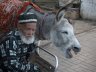 tatar-man-koktebel.jpg - 